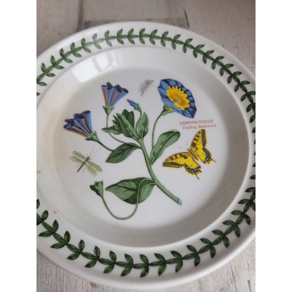 Portmeirion Botanic Garden AS IS 7" Trailing Bindweed salad plate - Picture 4 of 7